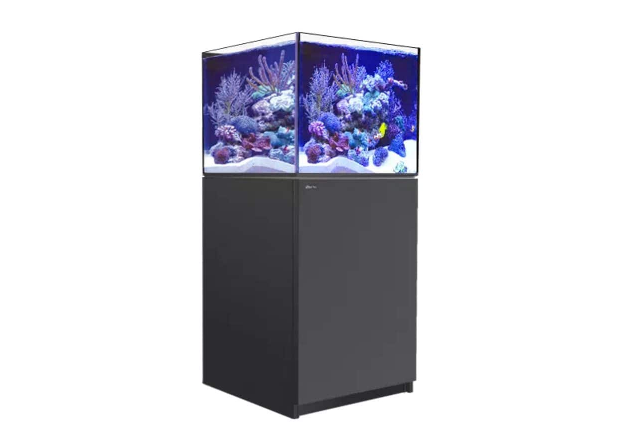 Red Sea Reefer XL 200 G2+ Complete System (42 gal) - Black (New G3 Model out now)