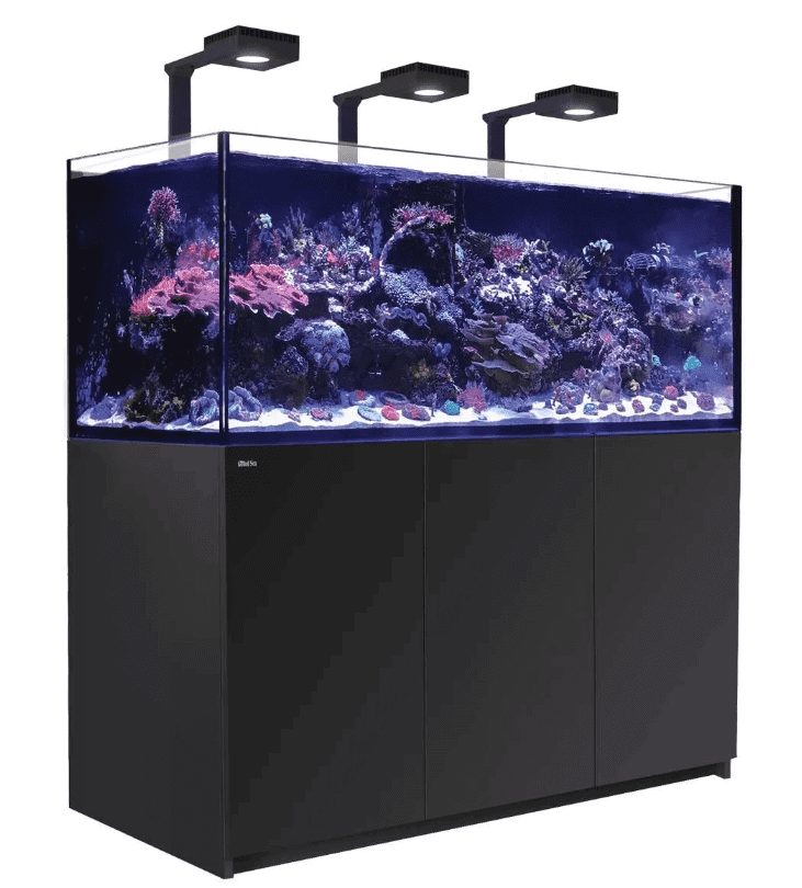 Red Sea Reefer XL 625 deluxe aquarium in action
