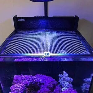 red sea diy aquarium net cover picutred