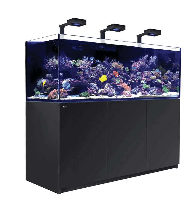 red sea xxl 750