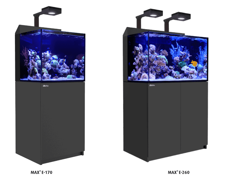 Red Sea MAX E 260 Upgrade Kit with a custom sump, DC pump, and protein skimmer for enhanced reef aquarium filtration and stability.