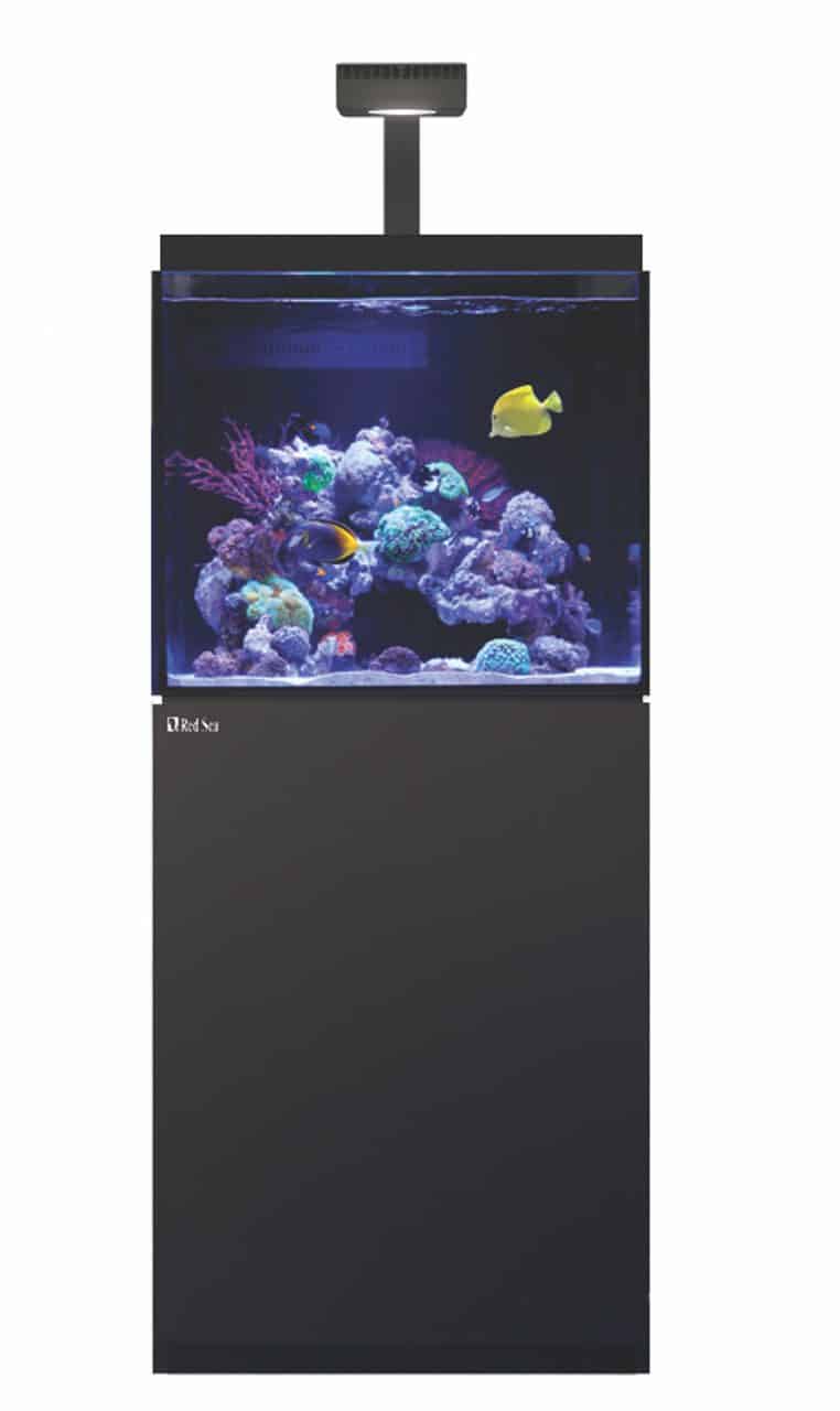 red sea e 260