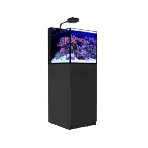 Red Sea MAX Nano Peninsula all-in-one reef aquarium with LED lighting, built-in filtration, and a modern black cabinet for saltwater fish and corals.