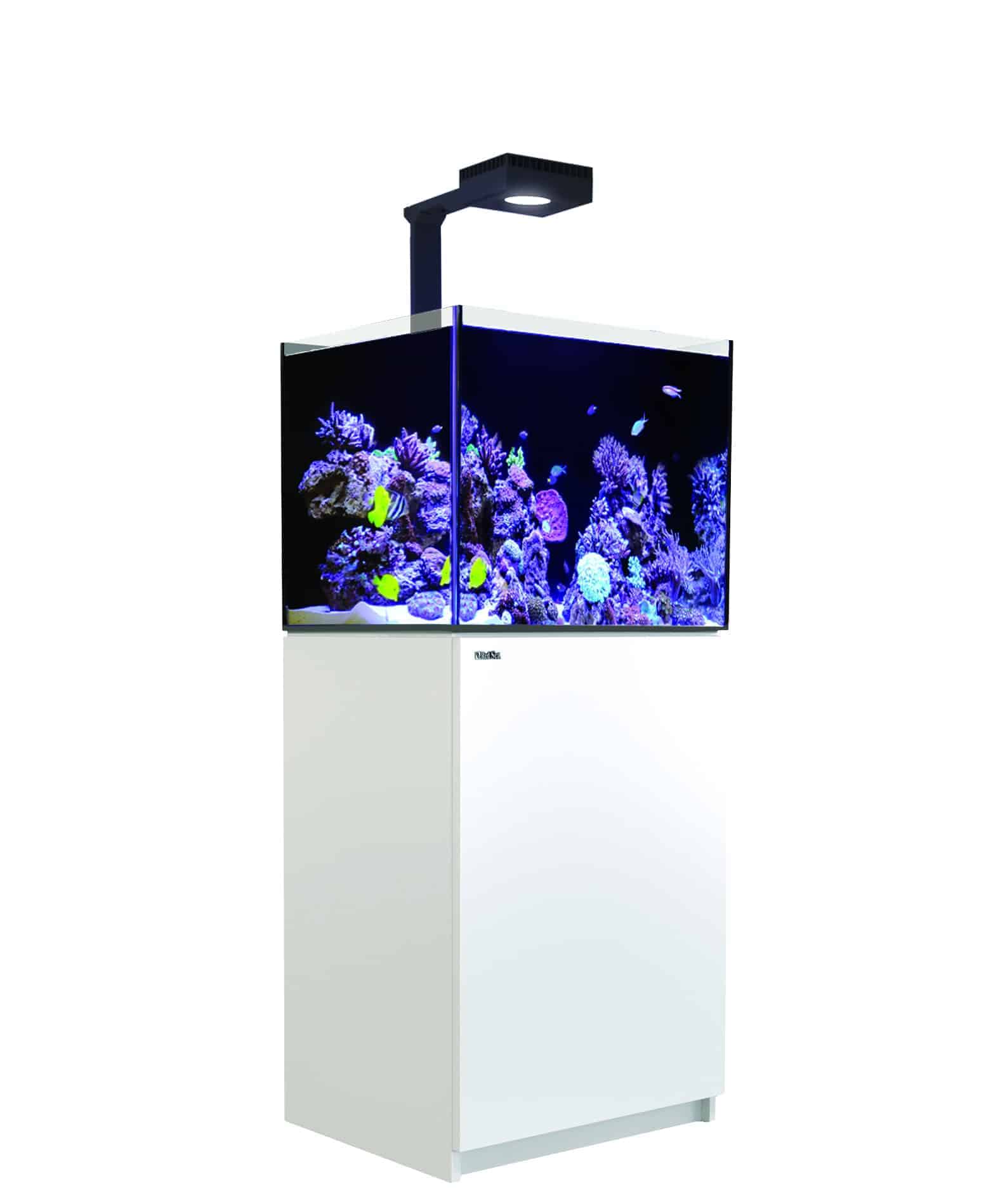 reefer 170 g2+ in white unboxed