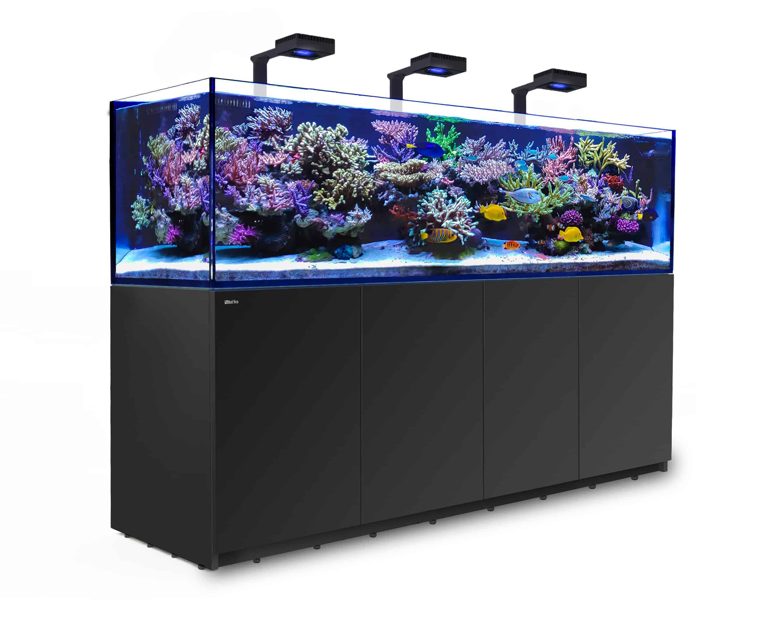 red sea 900 xxl