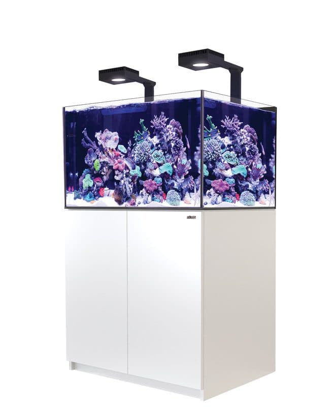 reefer 259 g2+ unboxed