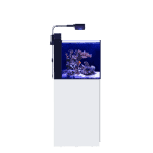 red sea max aquarium