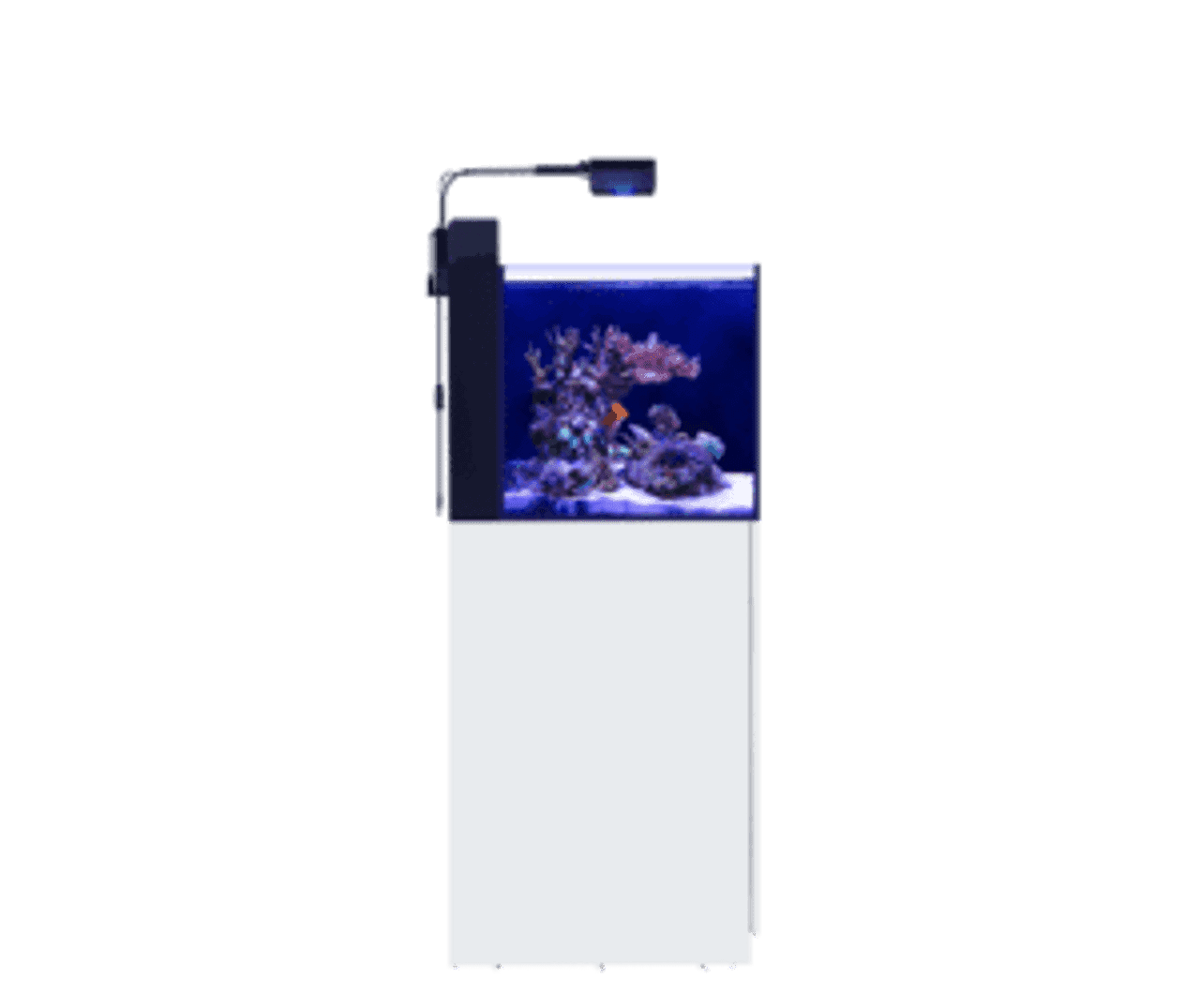 red sea max aquarium