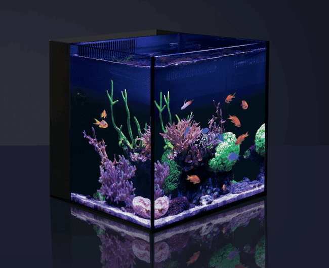 red sea desktop cube white unboxed
