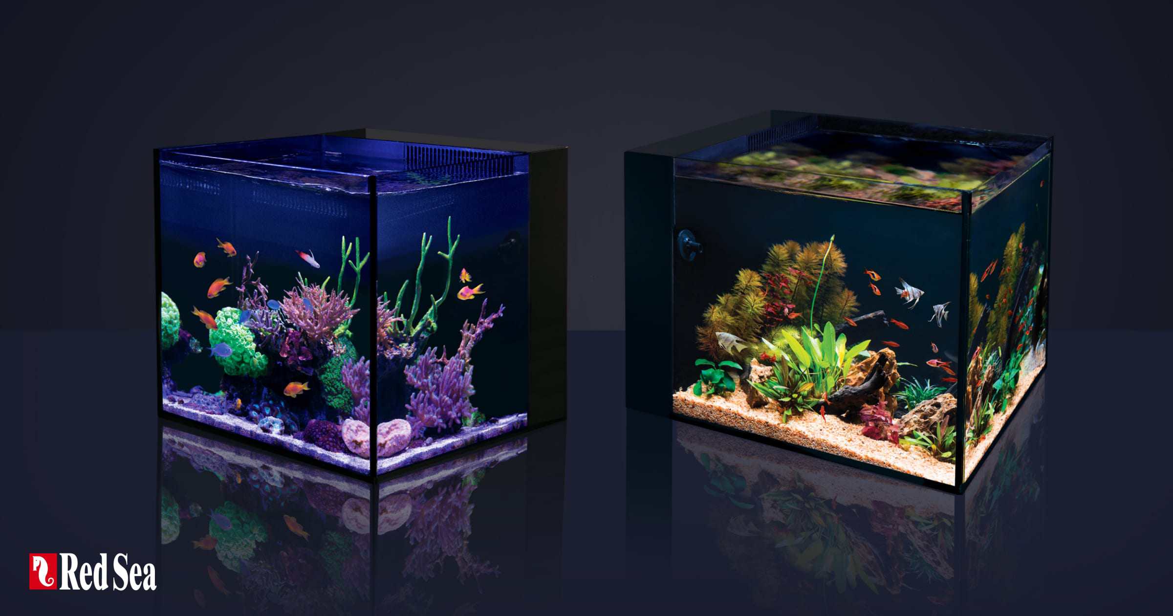 red sea desktop cube tank unboxed