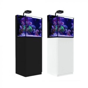 Red Sea Max Nano all-in-one reef aquarium with built-in filtration, auto top-off system, and customizable lighting options for vibrant coral growth.
