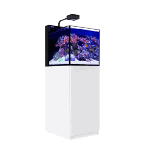 Red Sea Desktop Peninsula Aquarium with LED lighting system and white cabinet for saltwater reef aquarium setups in office or home spaces