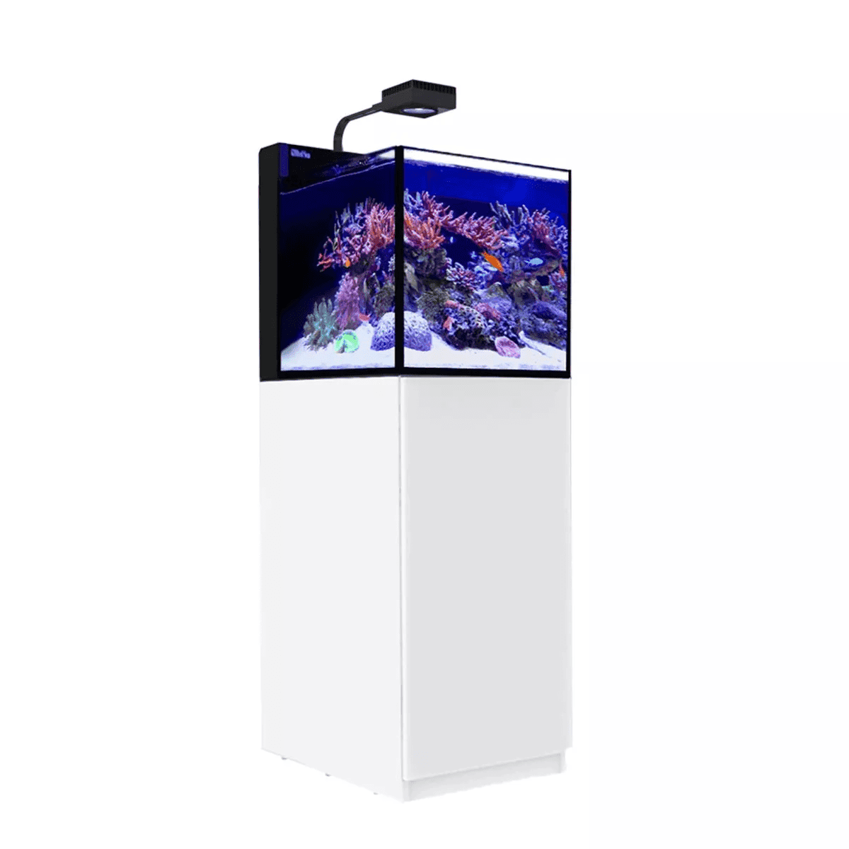Red Sea Desktop Peninsula Aquarium with LED lighting system and white cabinet for saltwater reef aquarium setups in office or home spaces