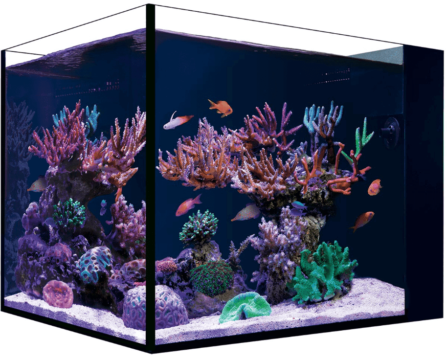 Red Sea Desktop Aquarium with black cabinet featuring LED lighting, peninsula-style tank, and hidden filtration system for saltwater reef sumps.