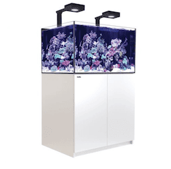 reefer g2 300