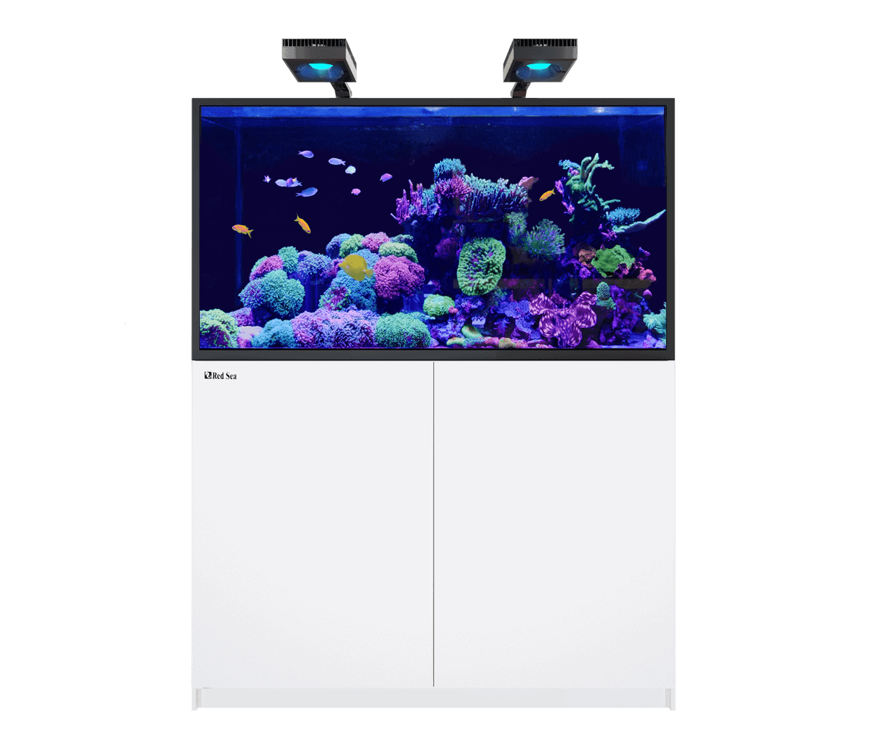 Reefer-S 550+ G2