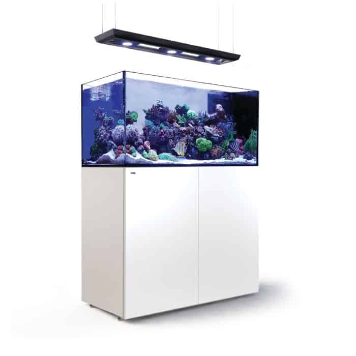 Reefer MAX Peninsula 500 G2+ White unboxed