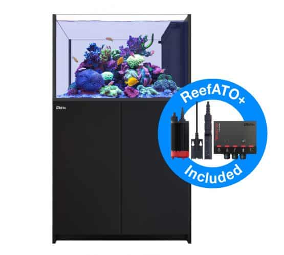 Reefer Peninsula 350 G2+ bkack unboxed