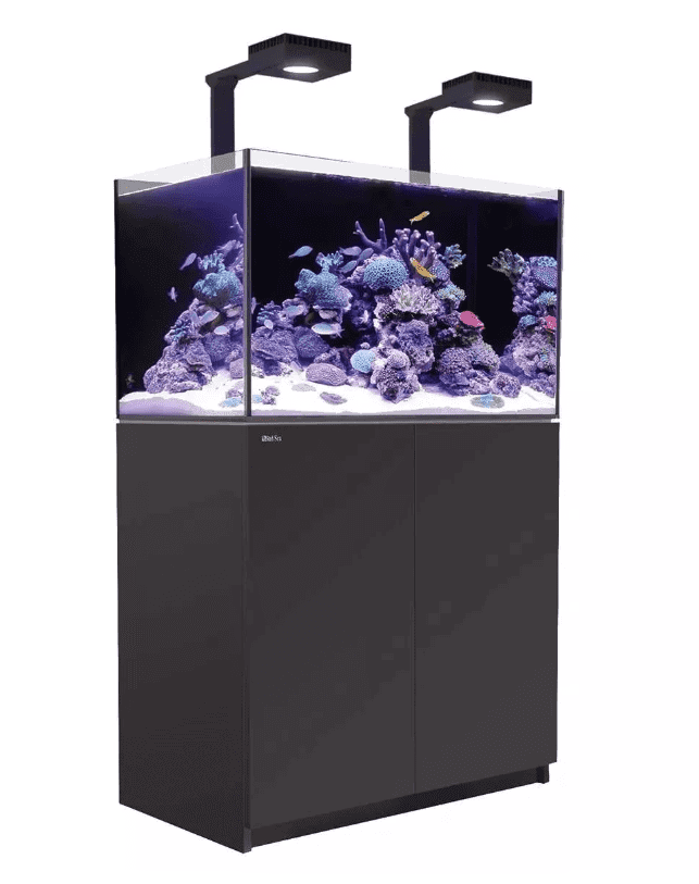 REEFER MAX 250 G2+ Aquarium in BVlack 54 Gallon System shown up close.