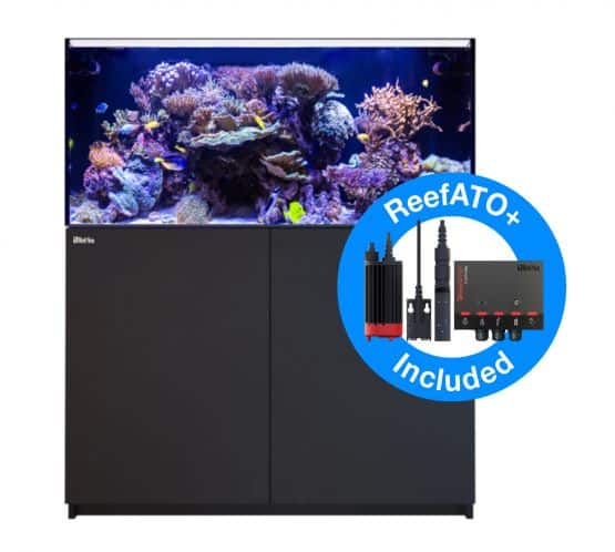 reefer 425 g2+ black unboxed