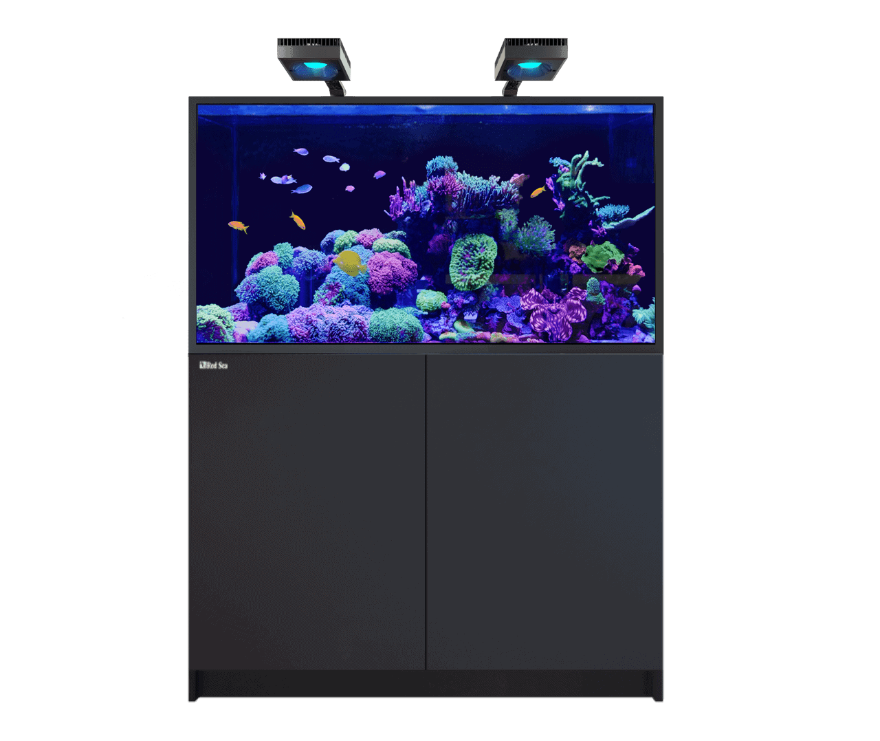 Reefer-S 550 G2+