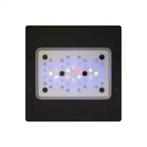 Radion XR15 G6 Blue LED Light Fixture