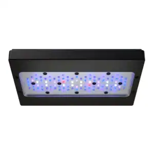 Radion XR30 G6 Blue LED Light Fixture