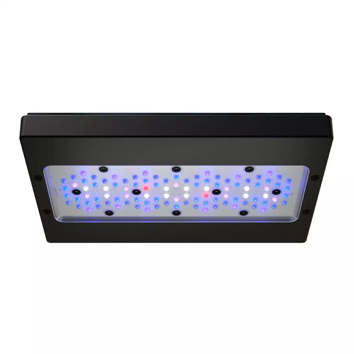 Radion XR30 G6 Blue LED Light Fixture