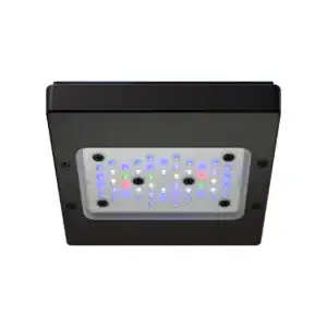 Radion XR15 G6 Pro LED Light Fixture with HEI2 optical system, deep UV spectrum, and Mobius app control for reef aquariums.