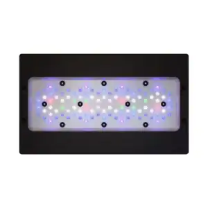 Radion XR30 G6 Pro LED Light Fixture with HEI2 optics, advanced diodes, and wireless control for high-output reef aquarium lighting.