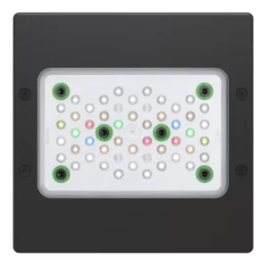Radion XR15 G5 Freshwater LED Light Fixture mounted above an aquarium, providing full-spectrum lighting for healthy plant growth and optimal coverage.