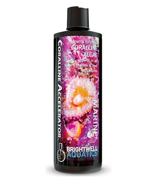 Coralline accelerator 500ml Brightwell aquatics