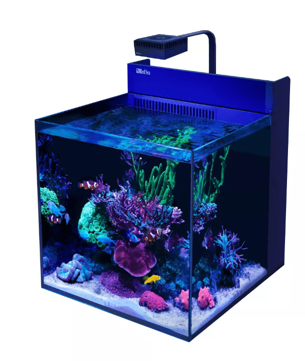MAX-NANO-G2-XL-5.png