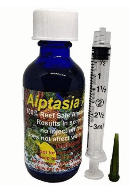 Aiptasia Away 1 oz bottle with applicator for safe and effective removal of pest anemones in reef aquariums.