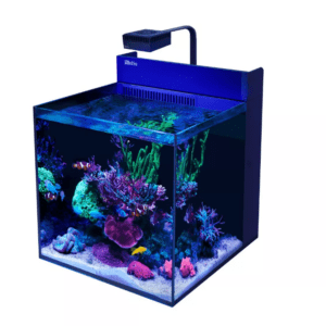 Red Sea Max Nano G2 XL Aquarium with ultra-clear glass, Wi-Fi-controlled ReefLED 50 lighting, and a NanoMat-ready rear sump for superior reef management.