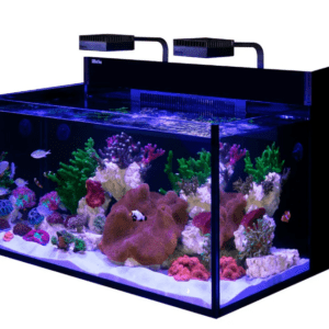Red Sea Max Nano G2 XXL Aquarium (Tank Only) featuring rimless 12 mm glass, dual Sicce pumps, and ReefLED 50 lighting for thriving corals.