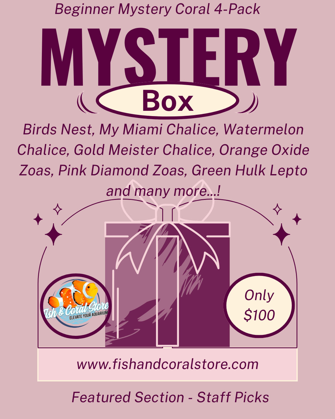 Beginner Mystery Coral 4-Pack