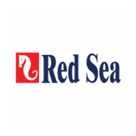 Red Sea