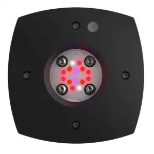 Aquaillumination Prime 16 LED Fuge Light Black refugium LED with spectrum optimized for macroalgae growth in saltwater aquariums