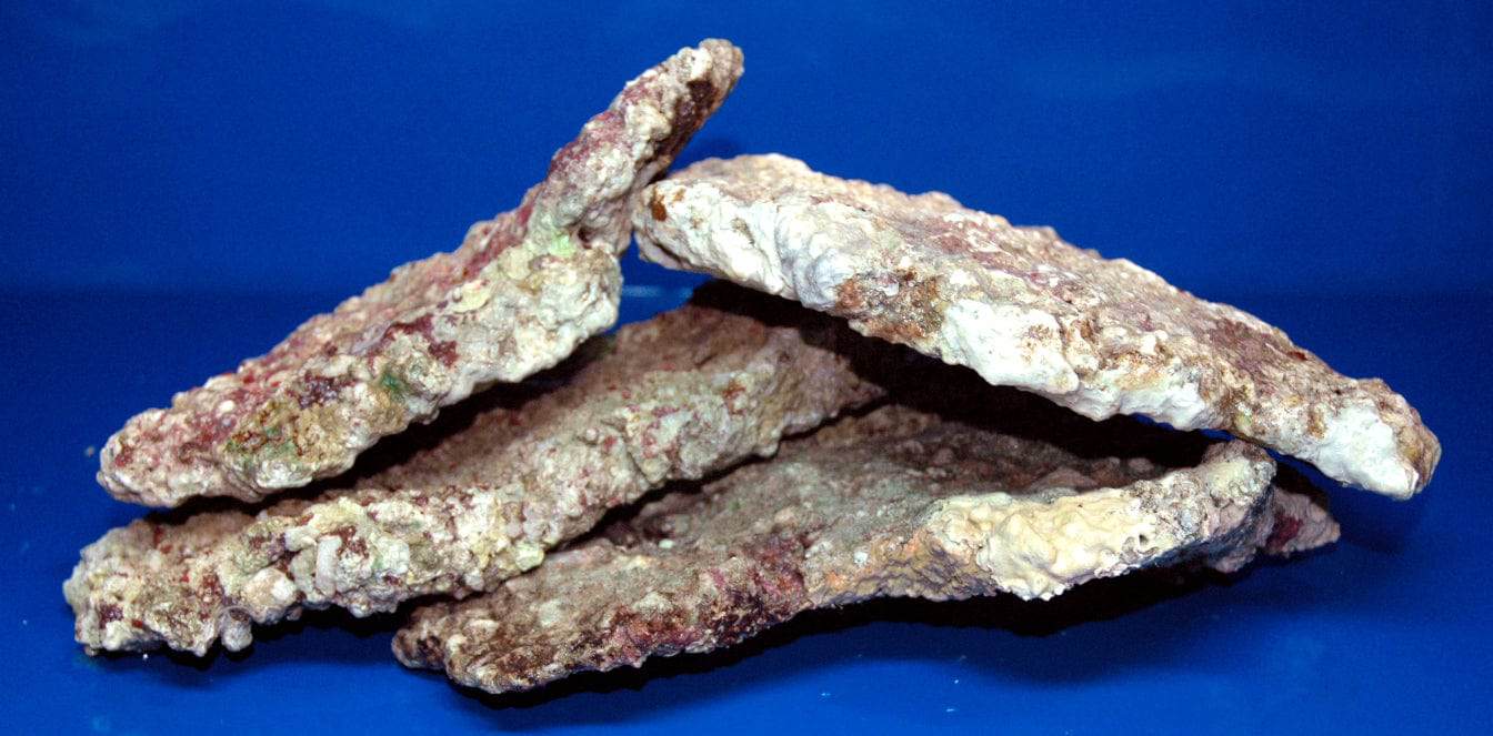 Rock: Fiji Live; Slab