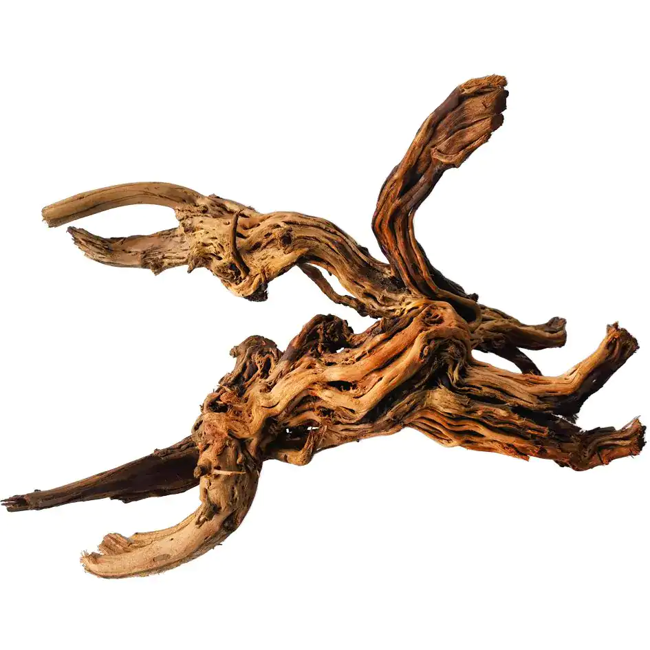 Large Dragon Root Wood 48"-60" by Icecap