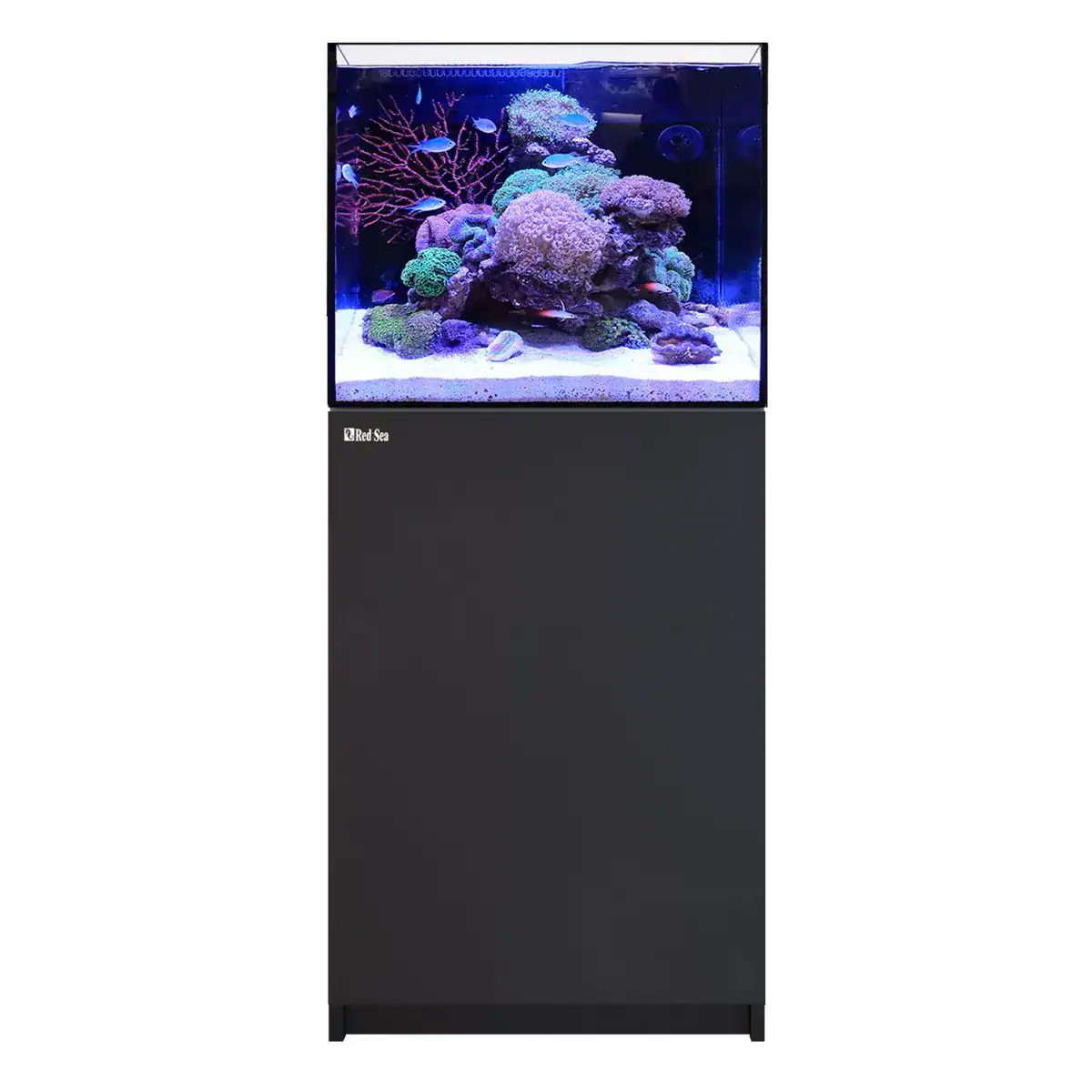 Red Sea REEFER 170 G3 Aquarium Black 33.8 Gallon Rimless Reef Tank with ReefATO Plus and Glass Sump
