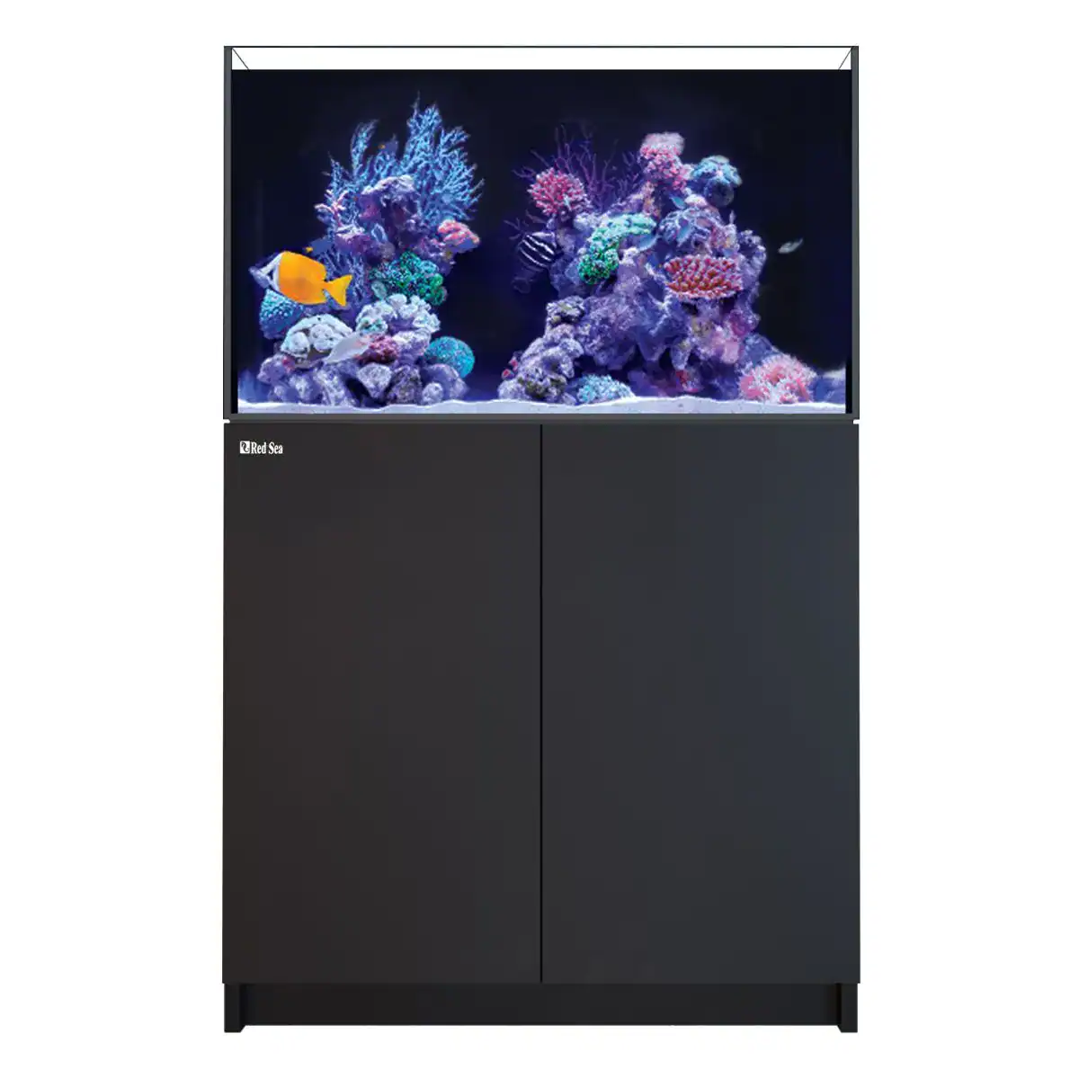 Close-up of Red Sea REEFER 250 Black cabinet and sump layout featuring ReefATO+ Auto Top-Off and ReefGate valve assembly