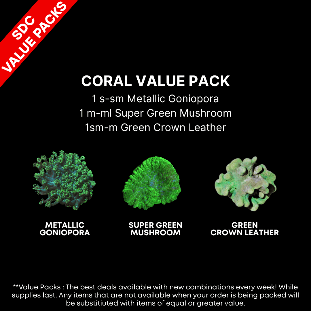 AAA: Aussie Coral Value Pack