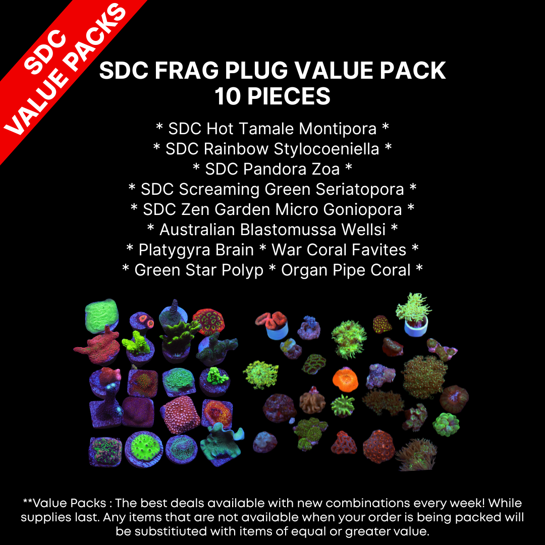AAA: SDC Frag Plug Value Pack