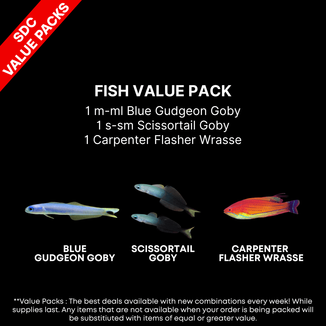 AAA: FISH Value Pack