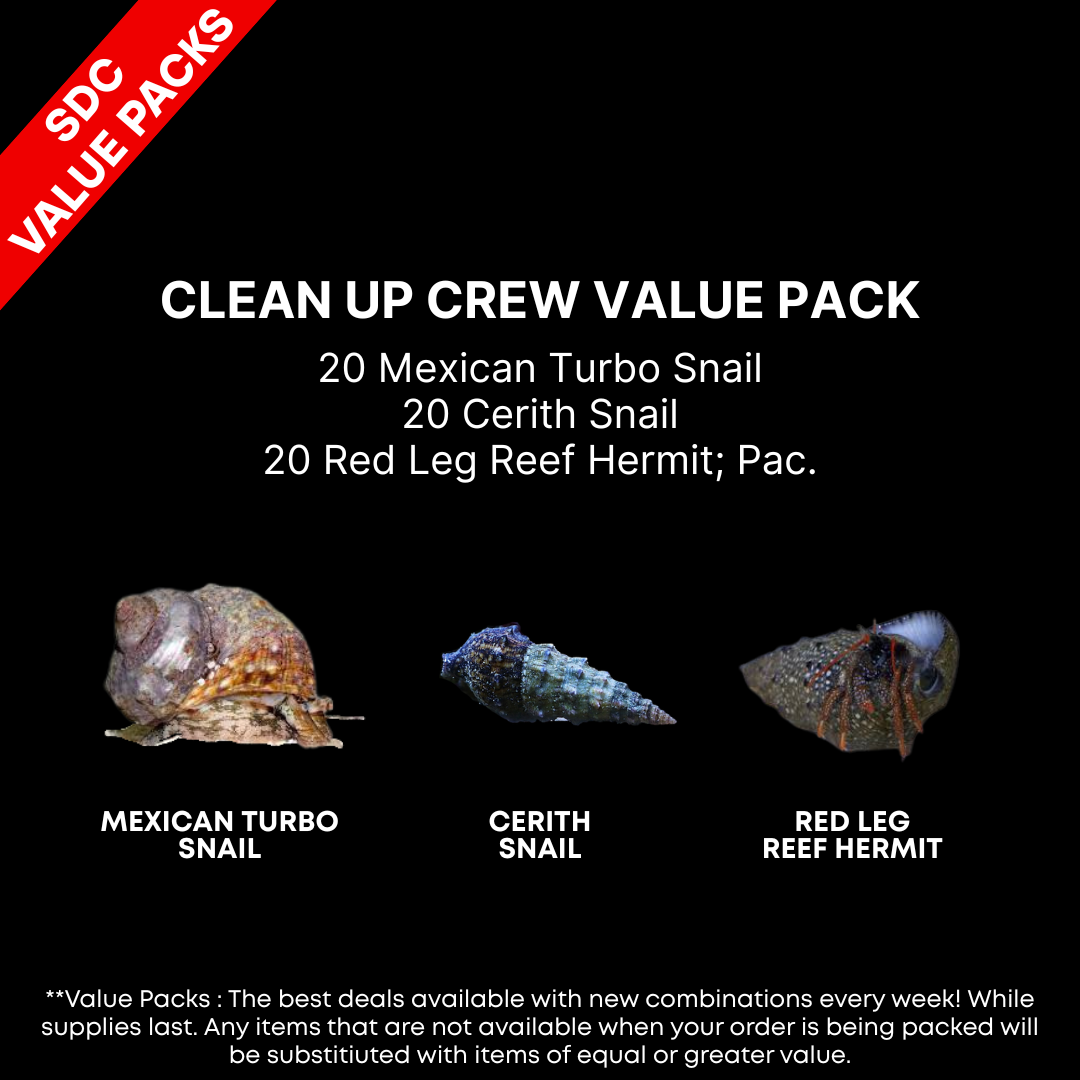 AAA: Clean Up Crew Value Pack