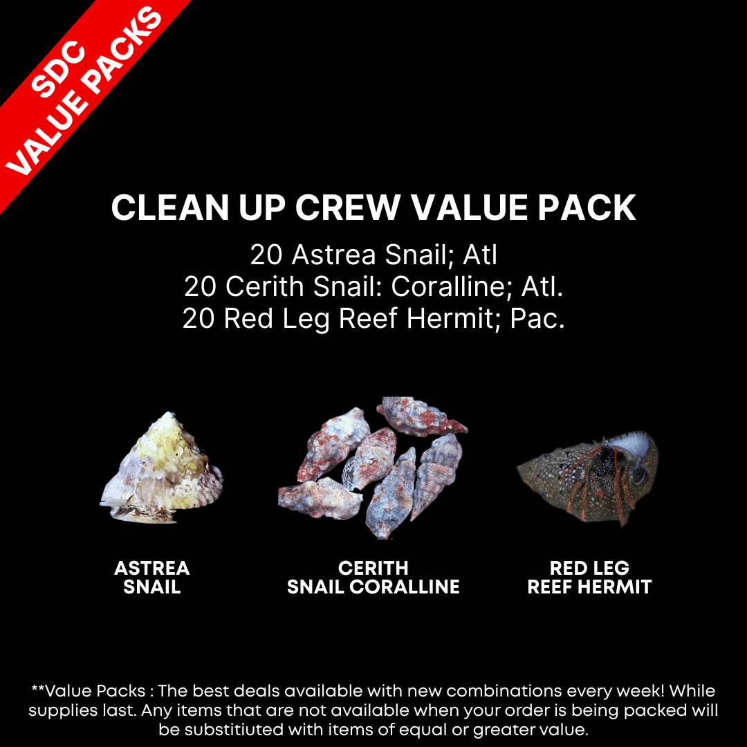 AAA: Clean Up Crew Value Pack