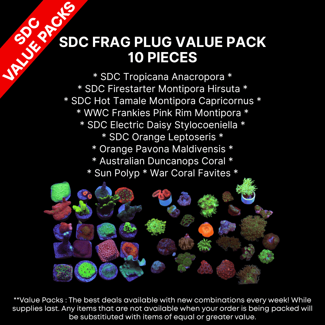AAA: SDC Frag Plug Value Pack