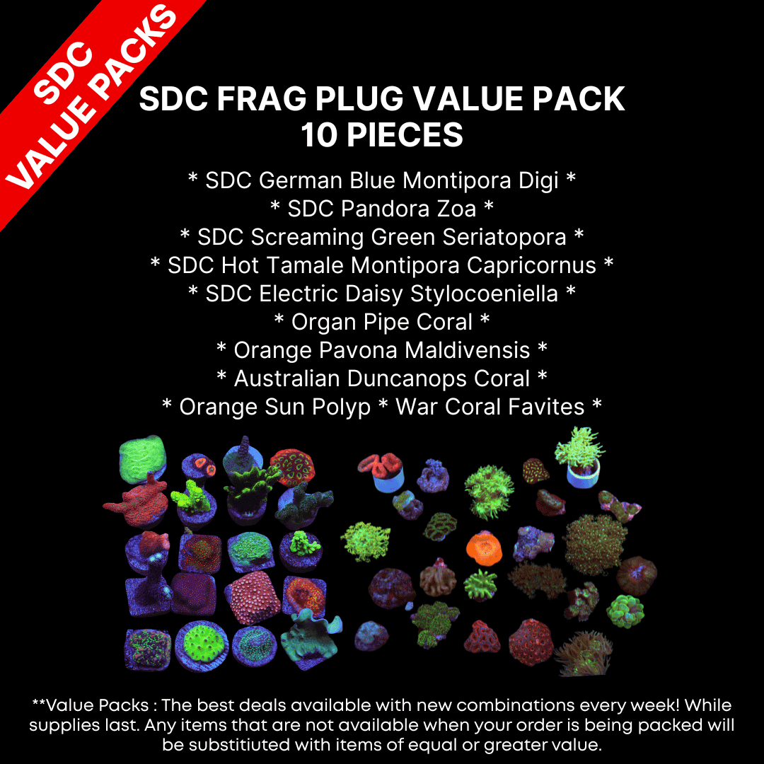 AAA: SDC Frag Plug Value Pack